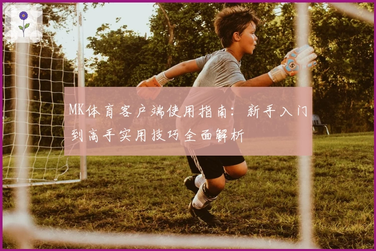 MK体育客户端使用指南：新手入门到高手实用技巧全面解析